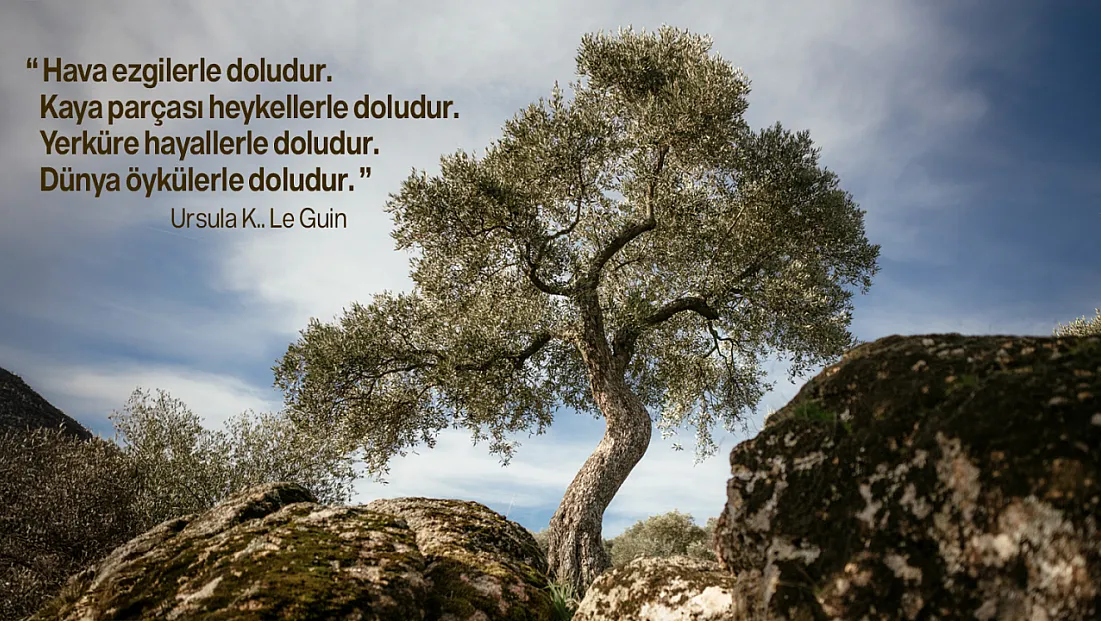 Doğanın 2025'i Nasıl Geçti?