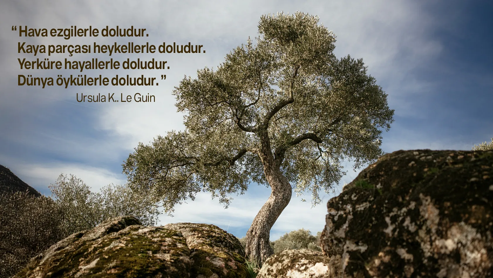 Doğanın 2025'i Nasıl Geçti?