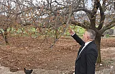 Sadıkoğlu Destek Gecikirse Malatya'da Binlerce Kişi İşsiz Kalabilir