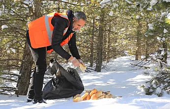 Elazığ'da doğaya yem bırakıldı