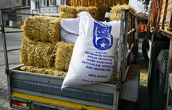 Manda Yetiştiricilerine Ücretsiz Kaba Yem Desteği