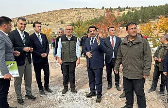 Vali Yavuz, Barınak Çalışmalarını Yerinde Gözlemledi