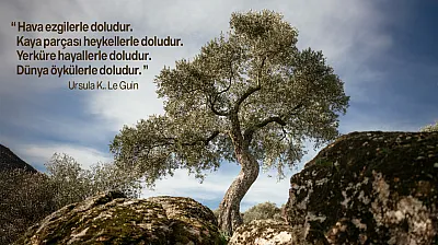 Doğanın 2025'i Nasıl Geçti?