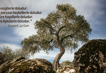 Doğanın 2025'i Nasıl Geçti?