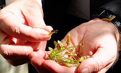 MAGİNDER Başkanı Karademir En Kötü Karar  Kararsızlıktan İyidir