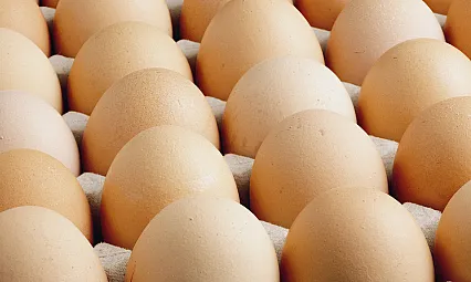 Yumurtaya Getirilen 1,5 Dolar Fon Aceleyle Alınmış İhracatı Durduracak Bir Karar