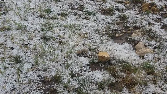 Amasya'da ceviz büyüklüğündeki dolu, tarım alanlarını vurdu