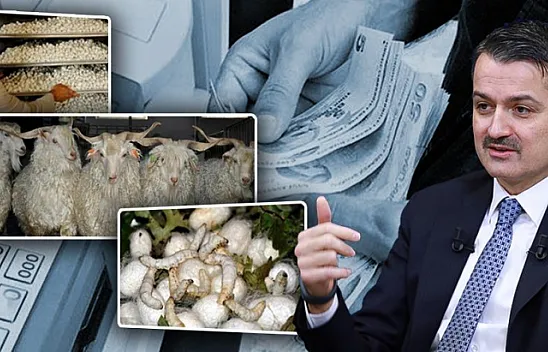 Bakan Pakdemirli İpekböceği Ve Tiftik Desteklemeleri Ödemelerine Başlıyoruz