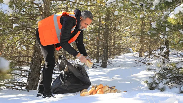 Elazığ'da doğaya yem bırakıldı