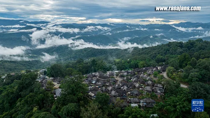 10 bin yıllık eski çay ormanları UNESCO listesine alındı