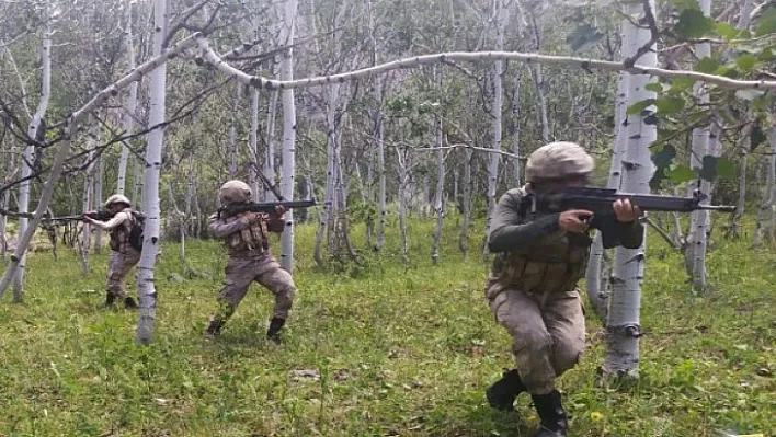 11 PKK/YPG'li terörist etkisiz hale getirildi