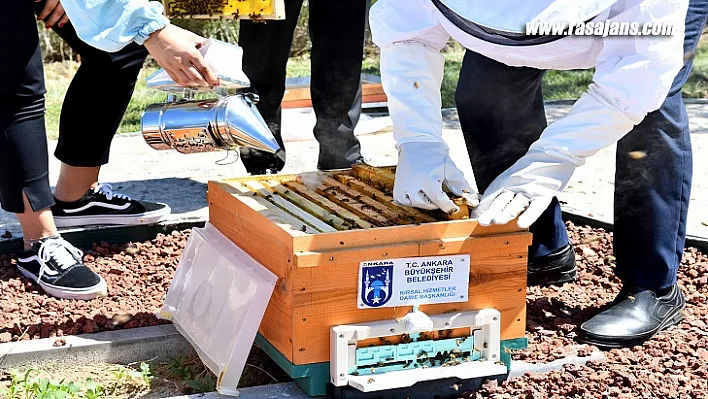 ABB Arıcılık Akademisi'nde Dersler Yeniden Başlıyor