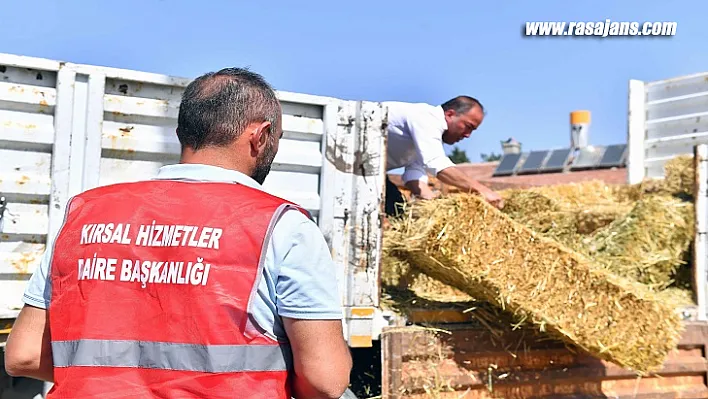 ABB'den Hayvan Yetiştiricilerine Ücretsiz Yem Desteği