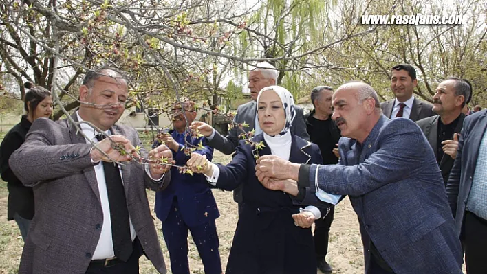 AK Partili Çalık 15 gün içerisinde ön hasar tespitleri tamamlanacak