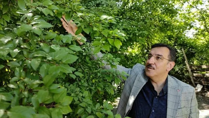 AK Partili Mv.Tüfenkci Gündemi Değerlendirdi