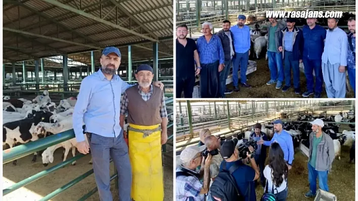 Akın' Kurbanlıklar Alıcısını Bekliyor'