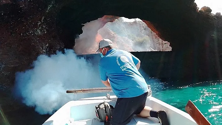 Alanya'da denizden sinekle mücadele