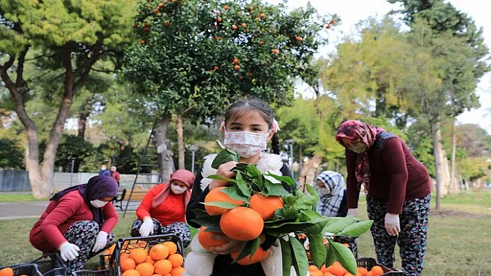 Antalya'nın turunçları KORKOOP