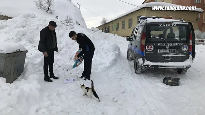 Arapgir Belediyesi sokak hayvanlarını Unutmadı