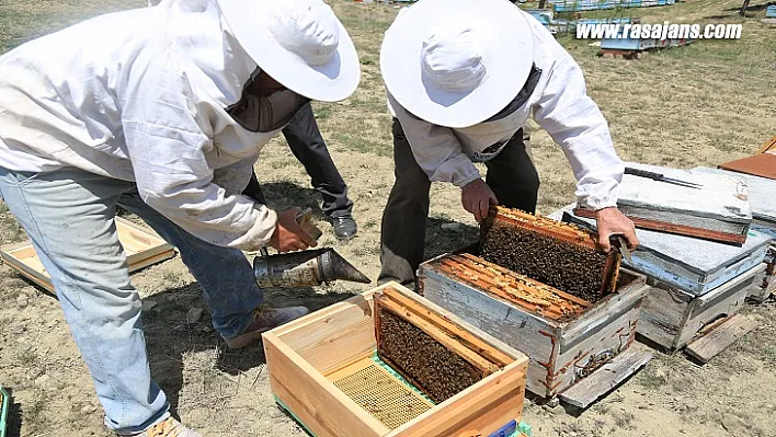Arıcılık Akademisi 2'nci Mezunlarını Verdi