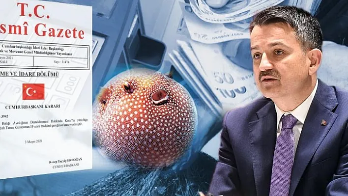 Balon Balığı Avcılığının Desteklenmesine İlişkin Karar Resmi Gazetede Yayımlandı
