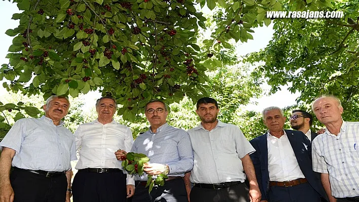 Başkan Güngör Çiğşar Kirazı'nın Marka Değerini Artıracağız