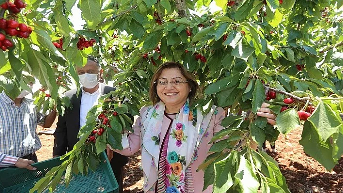 Başkan Şahin: Çiftçi Mutlu Olmazsa Ülke Mutlu Olamaz