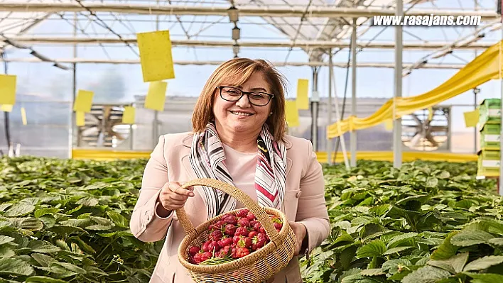 Başkan Şahin Söz Verdi, Seranın Ürünleri Yaşlılara Dağıtıldı