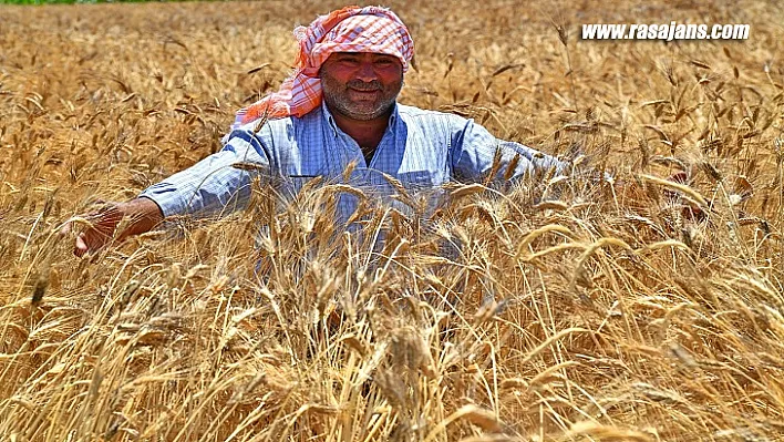 Başkan Soyer hükümetin açıkladığı alım fiyatını ikiye katladı