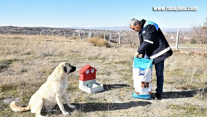 Battalgazi'de Can Dostlar İçin 19 Yeni Besleme Noktası