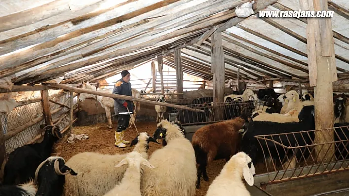 Beydağı'nı Aşan Battalgazi Belediyesi Ekipleri, Üretici Ve Hayvanlarını Kurtardı