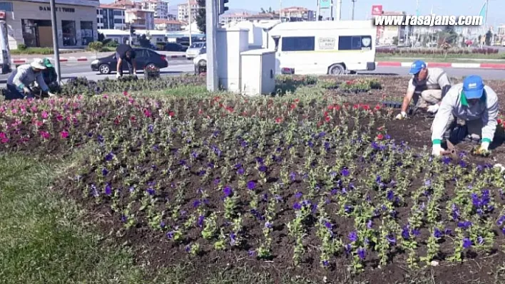 Büyükşehir Belediyesi Parkları ve Refüjleri Yeniliyor