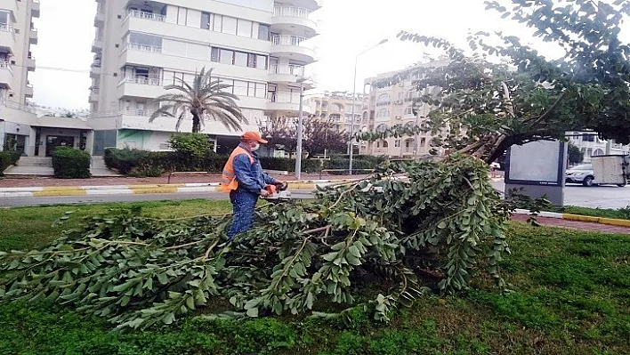 Büyükşehir fırtınadan devrilen ağaçlara müdahale etti