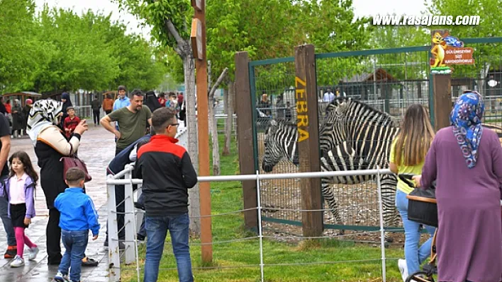 Büyükşehir'in Bayrama Özel Ücretsiz Hayvanat Bahçesi'ne Yoğun İlgi