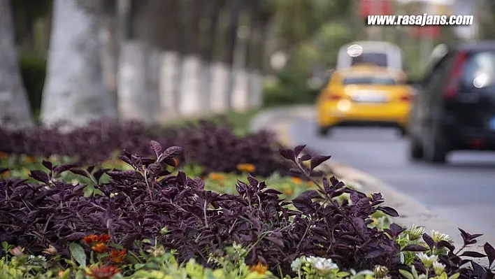 Büyükşehir'in Modern Dokunuşlarıyla Mersin Yeşile Doyuyor