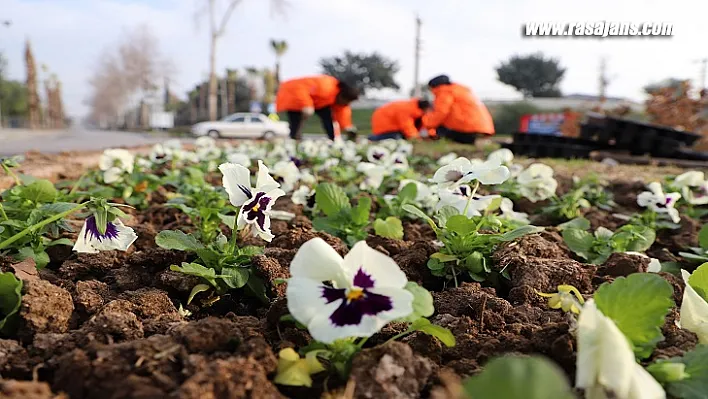 Büyükşehir'le Mersin Her Mevsim Baharı Yaşıyor