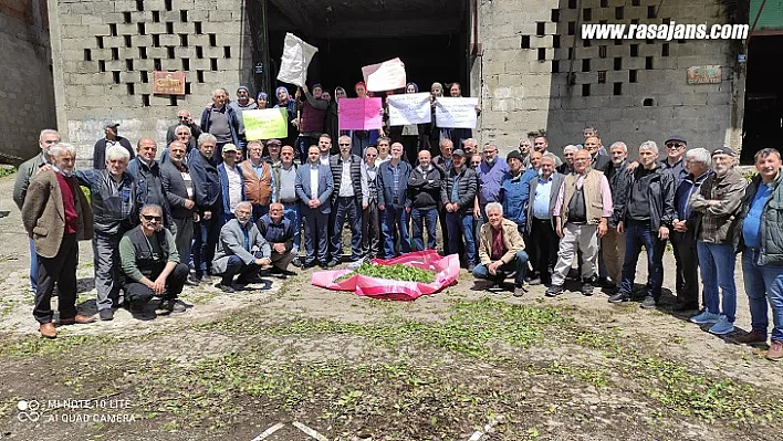 Çay Üreticilerinden Dikkat Çeken Açıklama! Bizimle Dalga Mı Geçiyorsunuz?