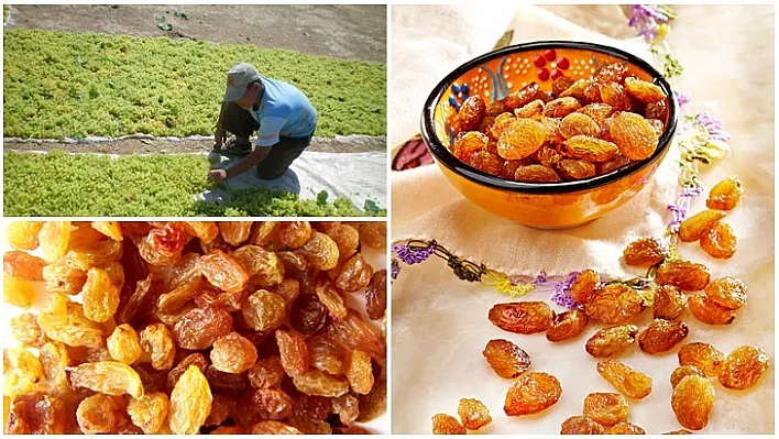Çekirdeksiz kuru üzüm ihracatçısı önünü görmek istiyor