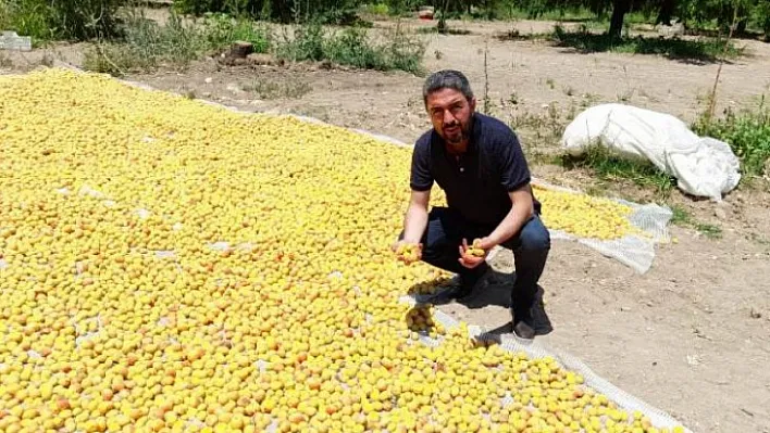 CHP İl Bşk. Kiraz' AKP, çiftçiyi Kaderiyle Baş Başa Bırakıyor'