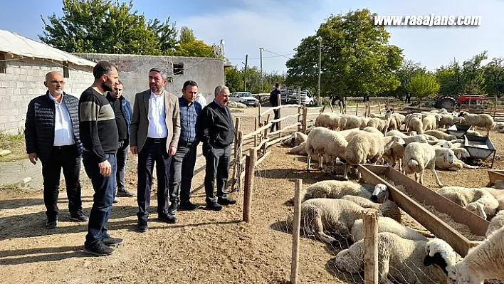 CHP'li Kiraz' Mağdur Olan Üreticimizin Zararı Karşılansın'