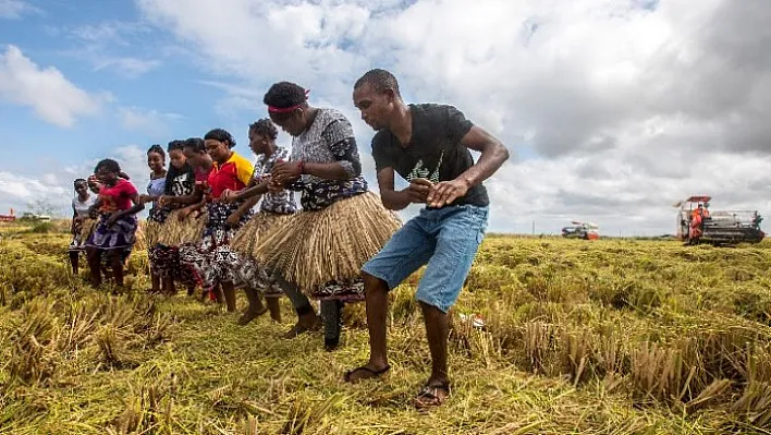 Çin-Afrika işbirliğinde büyük ilerleme