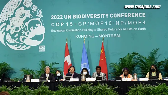 COP15 ikinci aşama üst düzey toplantısı sona erdi