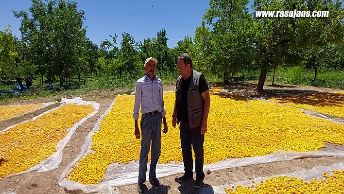 'Devletin Ayakta Kalmasını Devlet Bahçeli Sağladı.'