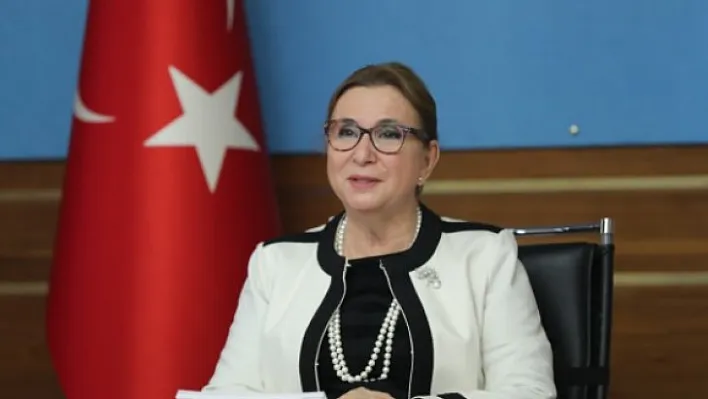 Dış ticaret bilgilendirme seminerleri