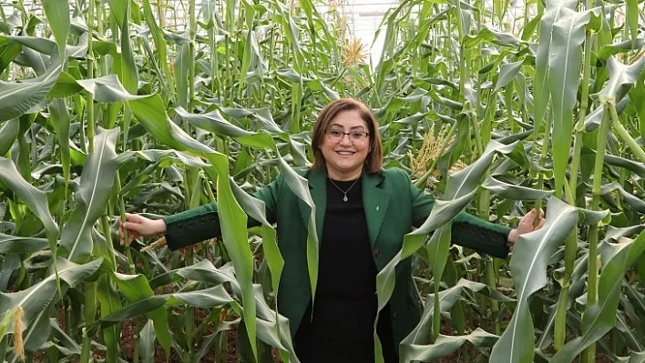 Esnafa Destek Halka Şifa Paketi