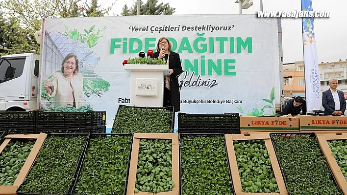 Gaziantep Büyükşehir'in Çiftçiye Fide Desteği Sürüyor