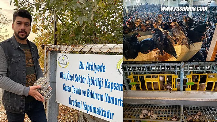 Genç Girişimciden Organik, Tavuk ve Bıldırcın Yumurtası Üretimi