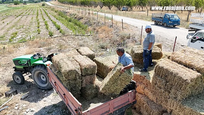 Hayvan Üreticilerine Balya Desteği