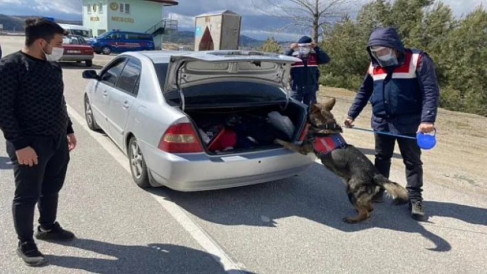 İçişleri Bakanlığı'ndan 81 ile eş zamanlı uygulama