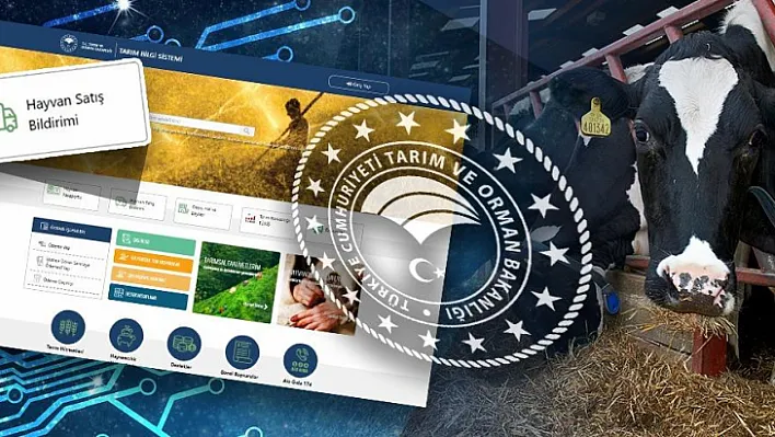 İl İçi Hayvan Satışları Artık Dijital Ortamda Yapılabilecek